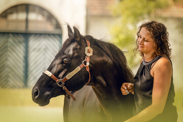 Equestrian lifestyle: A woman and her quarter horse stallion interacting together in summer outdoors