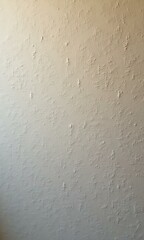 Fototapeta premium Photo of wall texture pattern
