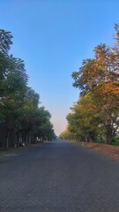 Quiet road in an industrial area, lined with trees on both sides, captured during a peaceful moment in the late afternoon