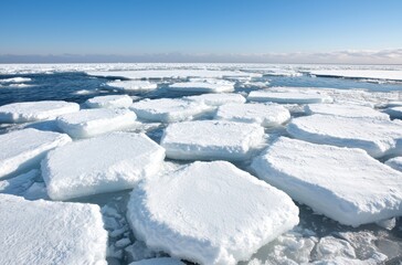 Obraz premium Frozen arctic landscape with icy floes