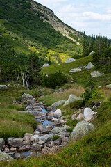 Stream in the mountains, Karkonosze National Park