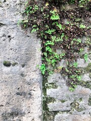Stone Wall