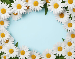 Fototapeta premium White daisy flowers with yellow centers arranged in border around pastel background. Daisies are fresh and vibrant. Edges of frame. Image provides simple, natural backdrop for text or design elements.