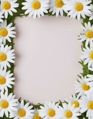 Fototapeta premium White daisy flowers with yellow centers arranged in border around pastel background. Daisies are fresh and vibrant. Edges of frame. Image provides simple, natural backdrop for text or design elements.