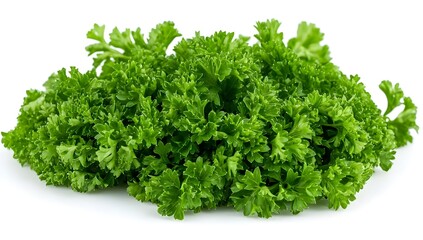 Fototapeta premium Fresh Green Parsley Sprigs Isolated on White Background.