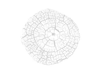 Gray monotone impression of end grain of wood slab. Tree rings art with texture and cracked surface.