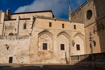 Fototapeta premium CATEDRAL DE BURGOS EXTERIOR DETALLES 2023