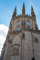 Fototapeta premium catedral de burgos detalles 2023