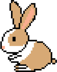 rabbit, bunny, animal, small animal