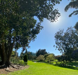 Sunny Day in the Park