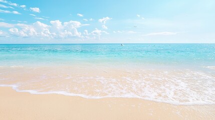 Tropical Beach with White Sand and Blue Ocean