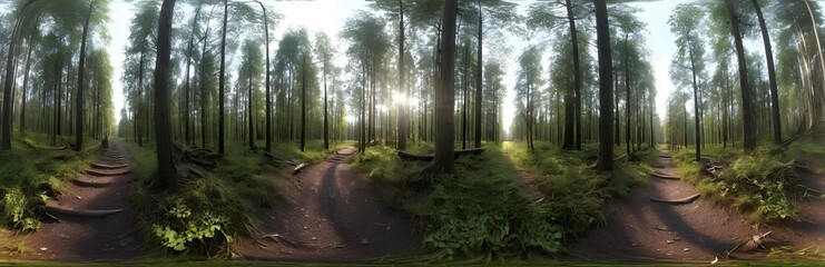 Naklejka premium 360 degree forest trail or nature walk. HDRI spherical panorama.