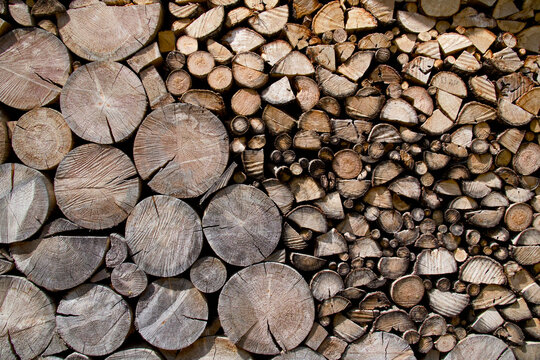 Holz