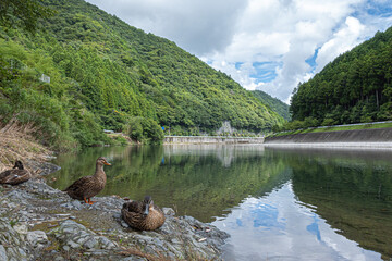 日本の熊野古道周辺の景色