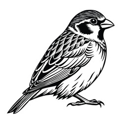 Obraz premium Capture the Delicate Beauty of the Sparrow with This Silhouette Vector Clipart, Perfect for Nature-Inspired Designs, Wildlife Art, and Ornamental Graphics