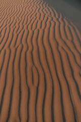 Sand Dune Sand