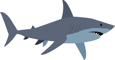 A vector art of a shark.