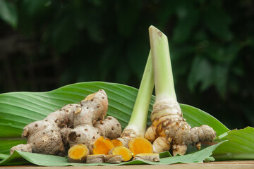 Turmeric or Curcuma longa Linn or rhizome root, a tuber plant that has a distinctive color and aroma