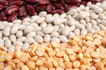 Different types of legumes as background, closeup