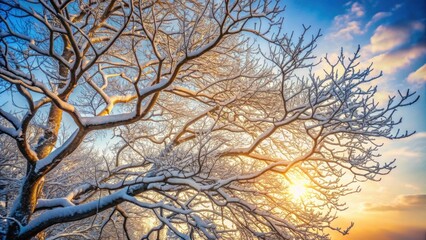 Bare branches of a tree in winter , winter, tree, branches, cold, season, nature, outdoors, cold, frost, icy, snowy, stark