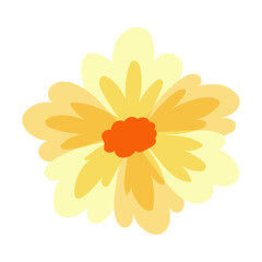 Hand drawn Beautiful spring flower design on the white