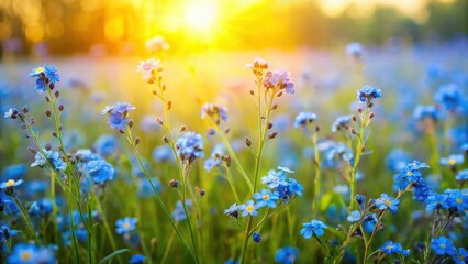 Beautiful wild blue flowers blooming in a meadow , nature, floral, blue, wild, meadow, blooming, vibrant, garden, plant