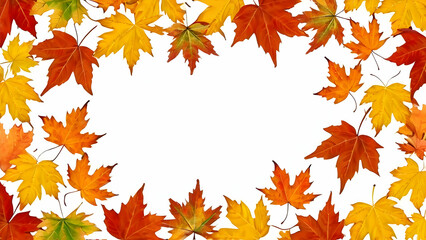 Fototapeta premium Colored maple leaves frame isolated on a white background. Beautiful autumn background with copy space