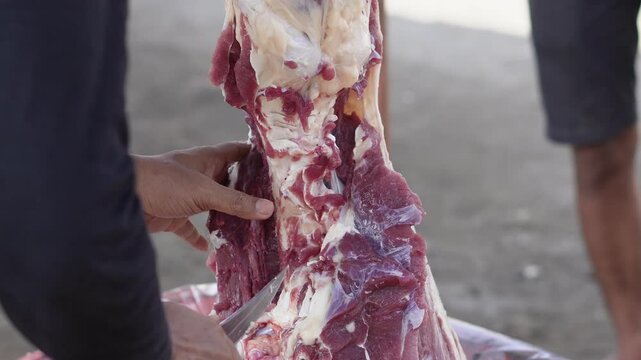 Close-up 4K footage of a Muslim male butcher cutting goat meat to distribute to Muslims in need during Eid al-Adha Al Mubarak