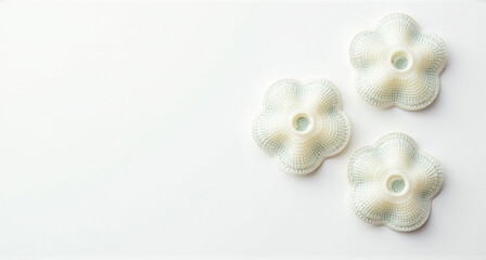 Naklejka premium shell