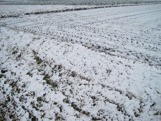   A view of a field where snow has begun to accumulate  