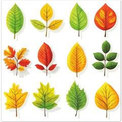 Fototapeta premium Colorful Autumn Leaves Set in Green, Yellow, Red, and Orange, Illustrated to Reflect Fall Foliage and Nature�s Beauty