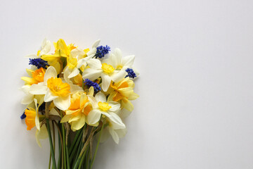 bouquet of daffodils on white as a background. an empty space for your text.