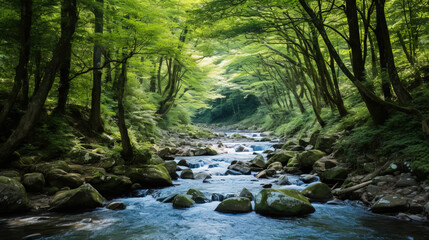 Serene Forest River: Tranquil Nature Scene