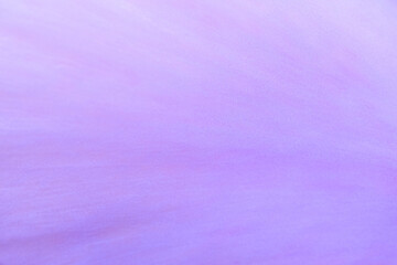 purple flower zoom photo