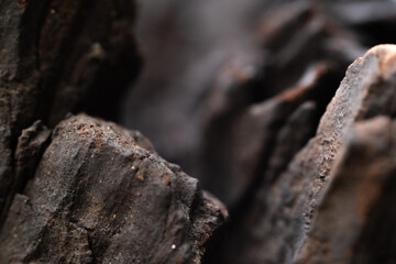 Photo of a broken tree stump