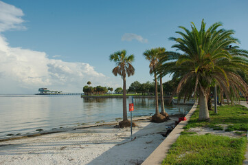 Obraz premium Wide shot Looking south over green grass, palm trees, seawall and sandy beach St. Petersburg, FL. towards Tampa Bay and Pier in back. Partly sunny day with blue sky, gray and white clouds. Reflection