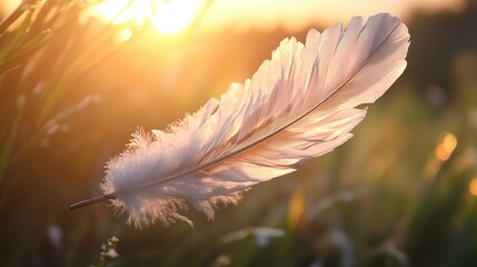Naklejka premium A feather in the air