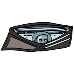 Open Wallet with Banknotes, Money, Cards Vector Illustration