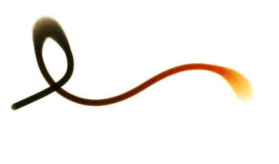 Whoosh lines curvy calligraphy Neon gradient texture bright lines texture, realistic cutout on transparent background. Spray gradient lines texture overlay.