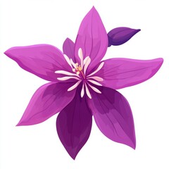 vector graphic of a purple fuchsia flower