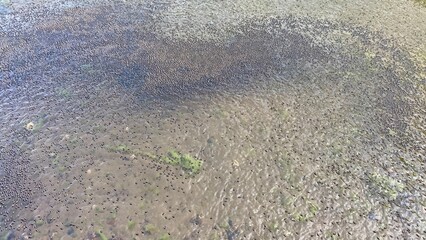  lake livingston state park, Texas, USA.- landscape images	
