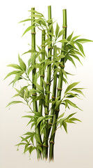 Obraz premium Hand drawn beautiful ink bamboo illustration 