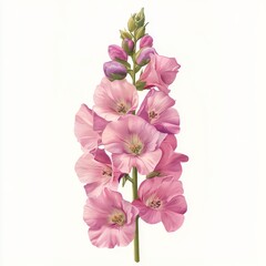 vector graphic of a pink delphinium flower