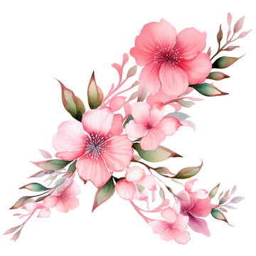 pink flowers watercolor