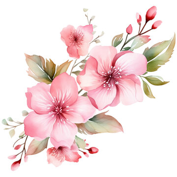 pink orchid flower