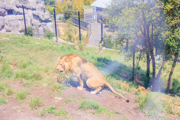 Fototapete bei efototapeten.de bestellen   