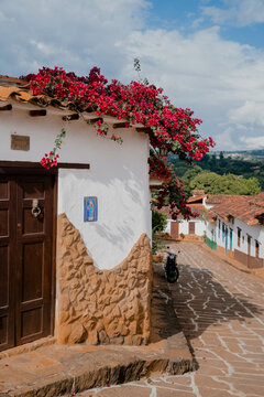 Colombian Color