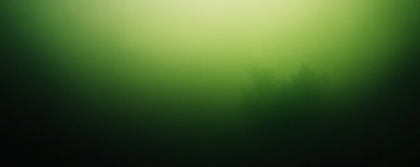 Green Foggy Forest, Fog, Forest, Nature, Landscape