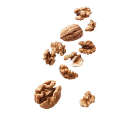 Falling walnuts isolate on transparency background