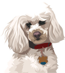 illustration of a dog